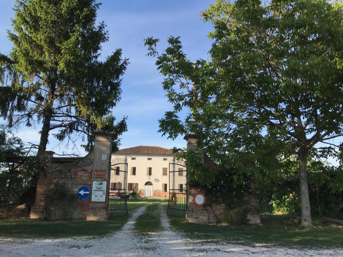 Agriturismo Corte Galvagnina Cesole Exterior photo